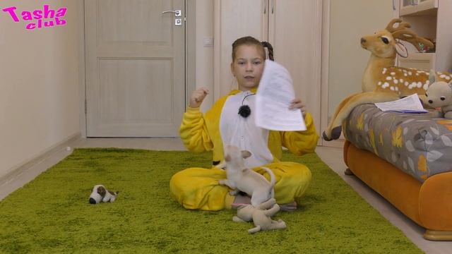 Мне купили щенка ЧИХУАХУА. Какую породу выбрать. Почему чихуа.