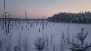 Поезд №338Е Приобье — Екатеринбург (СВ),