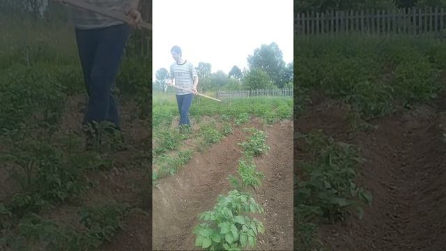 ponikigogo тяпаем смотреть онлайн