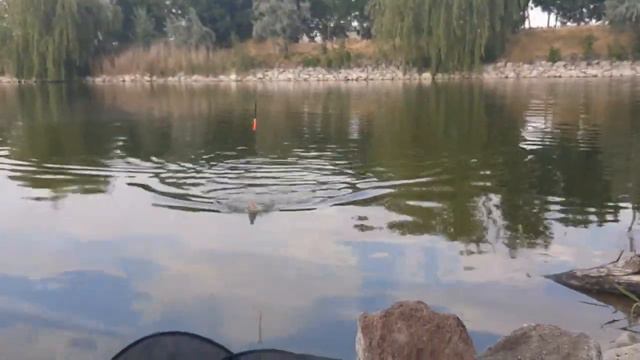 Рыбалка в Томиной Балке в канун дня рыбака..! С 10.07 по 13.07.19. смотреть онлайн