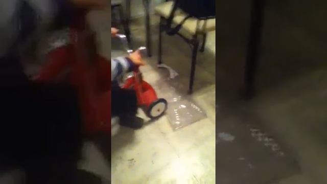 Speed racer Leo смотреть онлайн