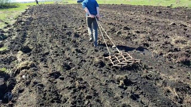 Сеем ячмень на целине дедовским способом!