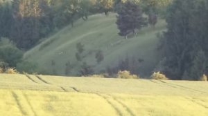 Sony DSC WX 100 test