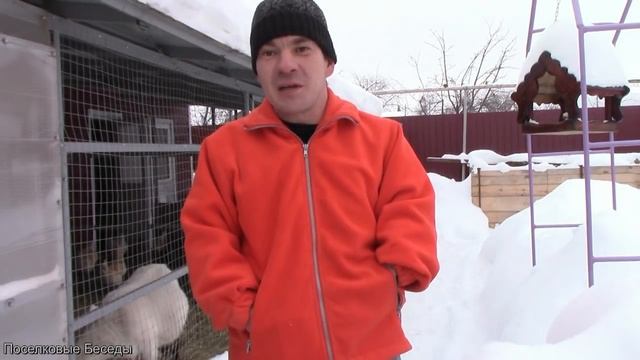 1000 подписчиков! Спасибо, друзья! смотреть онлайн