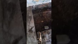 РЕМОНТ ПОЛОВ НА ДАЧЕ.