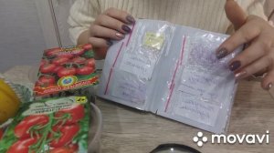 Томат для супер раннего урожая!Букетный посев семян томатов.