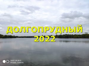 ДОЛГОПРУДНЫЙ 2022