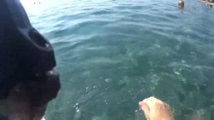 Ныряние в Пицунде Море под Водой в Абхазии 2017