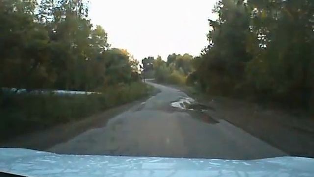 Медведь в Железногорске.Красноярский край