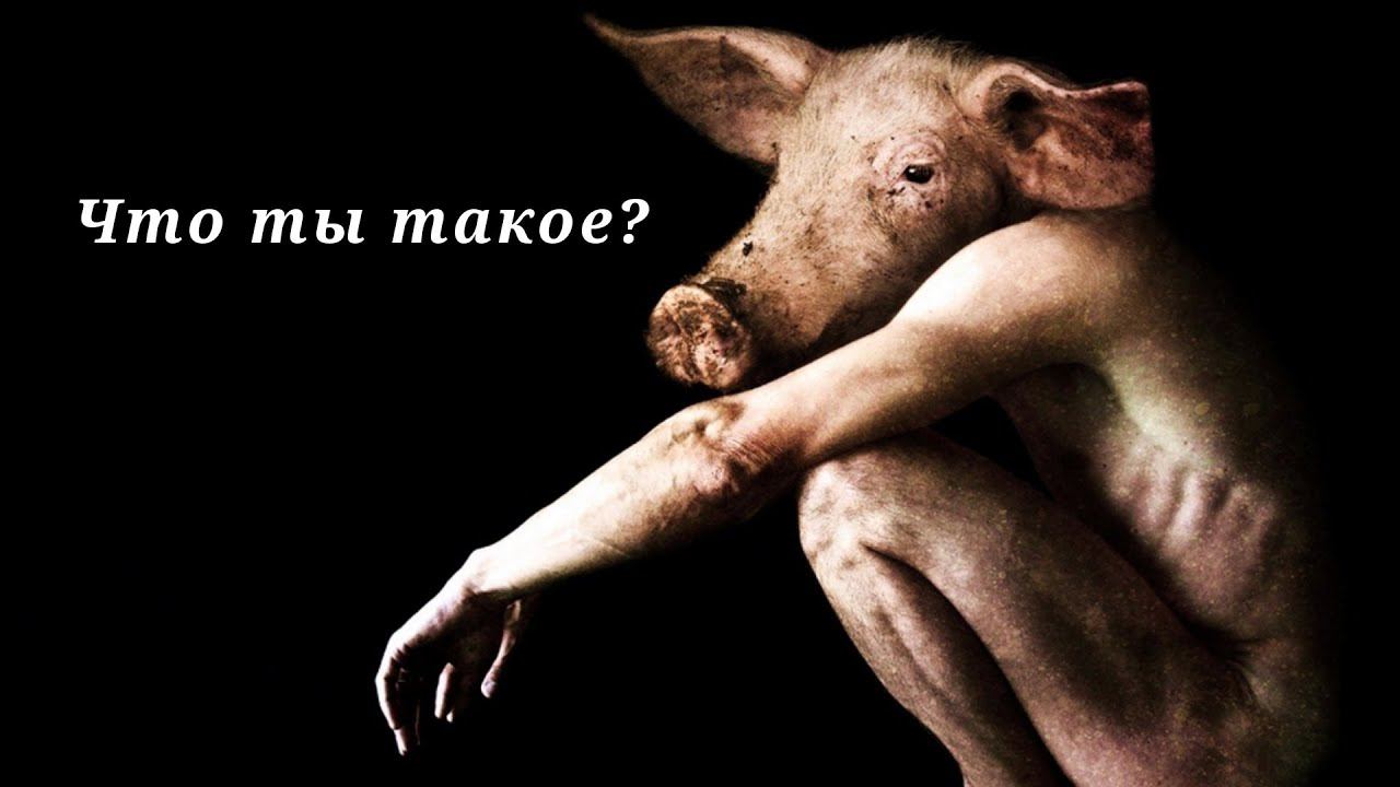 Высокоинтеллектуальный скот или человек? ВОЗРОЖДЕНИЕ ЧЕЛОВЕЧЕСТВА ч.4 смотреть онлайн