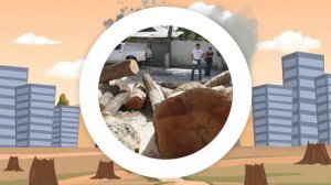 Роль деревьев в нашей жизни (на русском языке)