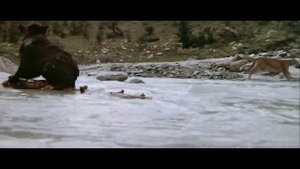 Не забывай, что Бог с тобой