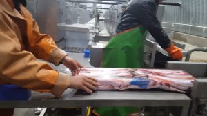 Работа машин оттайки и мойки блок-форм, и глазуровки замороженных блоков рыбы  (ООО "Владфризинг")