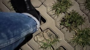 Экопарковки: как сначала загубить идею, а потом просто залить асфальтом