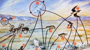 Виды экосистем, естествознание 5 класс