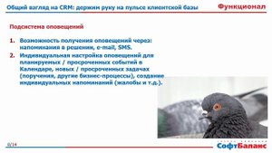 1С CRM обзор возможностей | 1С CRM 3.0 | 1С CRM ПРОФ