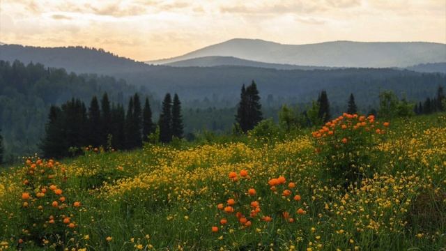 2). «Дух прамамочки" о дольмене рассказала Анастасия в книге В.Мегре смотреть онлайн