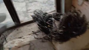 PLASTILIN. ДОБЫВАЮ НОВОГОДНЮЮ МЕДЬ ИЗ ГИРЛЯНД! ПОИСК МЕДИ И МЕТАЛЛОЛОМА. КАК ЗАРАБОТАТЬ ДЕНЬГИ