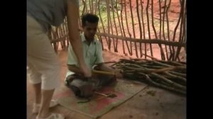 Шри Ланка (6). Сад специй. Индуистский храм в Матале. Sri Lanka. Spice Garden.Matale. Hindu Temple.