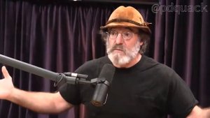 Джо Роган #1035 Пол Стеметс - О пользе грибов, мистических свойствах, разумности