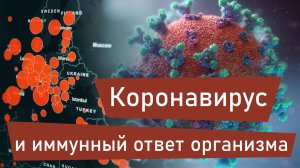 Коронавирус и иммунный ответ организма