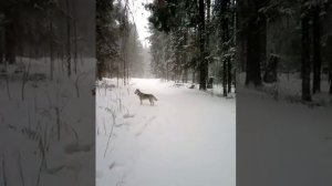 Конец Марта начало Апреля