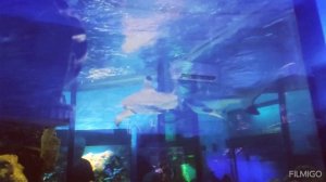 зоопарк Челябинска!