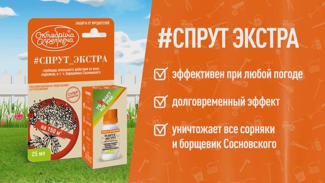 Спрут Экстра смотреть онлайн