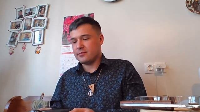 Защиты (Илья Шенгелия)