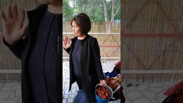 Кара - Куль 2019, ? смотреть онлайн