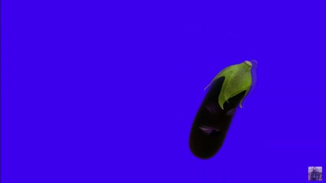 ВЛАД ГАНТЕЛЯ СМОТРИТ МАСКИ В SNAP CAMERA! смотреть онлайн