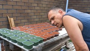 Дорожка 7. Делаю тротуарную плитку.