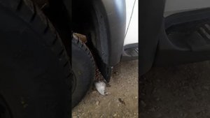 Уаз патриот,про стабилизаторы,козырек от паджеро