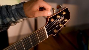 The Rimpitch-C2 - A reliable tuner that you attach to the sound hole of your instrument.