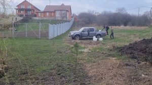 Зарыбление пруда или прудика белым амуром