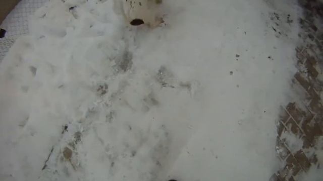 Train Dart 4 5 месяца