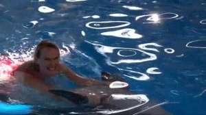 Сочи, плавание с дельфинами, цены