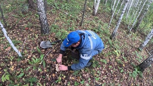 Экспедиция с металлоискателями. Ищем старое урочище которое не отмечено на карте