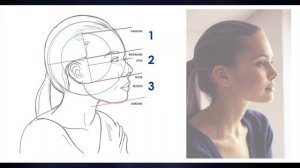 How to Draw the Human Head in Easy Steps