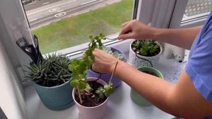 Сборка системы капельного полива rehau в домашних условиях