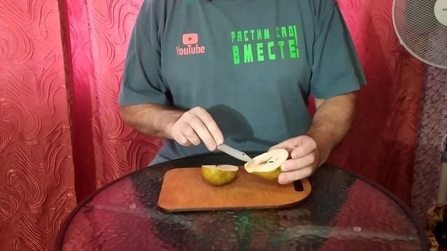 груша "Завея"...как реально хранится. смотреть онлайн