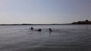 Суворовское водохранилище. Сентябрь 2020.