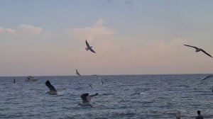 Крым. Ялта набережная - 2.   2020 октябрь.