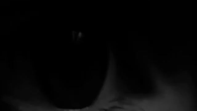 Кот по имени Вафля - Дьявольская страсть.wmv смотреть онлайн