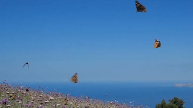 За далью даль... Невероятно Красивая Музыка Сергей Грищук для души! Послушайте. смотреть онлайн