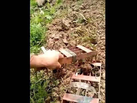 боты-топтуны