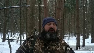 Охота с лайкой на пушнину! Первая работа !