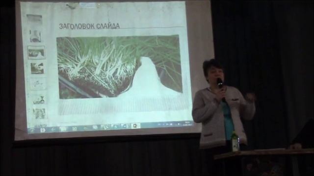 Лук порей Кузнецова Татьяна смотреть онлайн