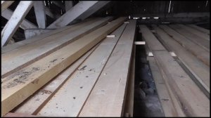 Заготовка древесины, часть следующая. вяз, ель, береза