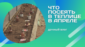 Что выкопала в теплице и что посадила? Апрель на даче